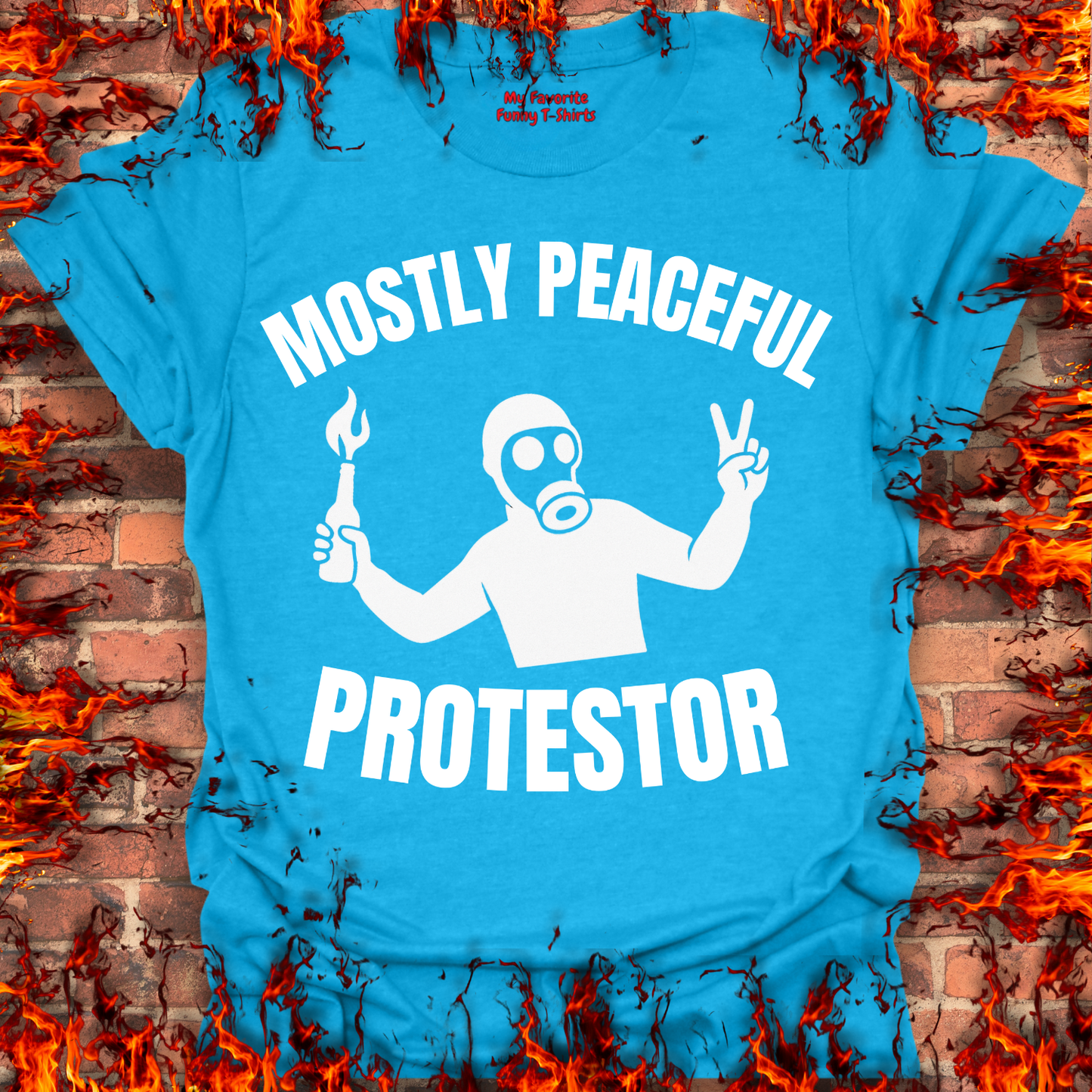 Mostly Peaceful Protestor