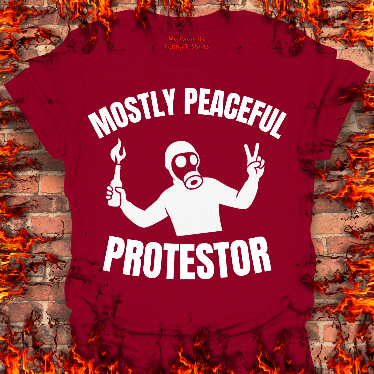 Mostly Peaceful Protestor