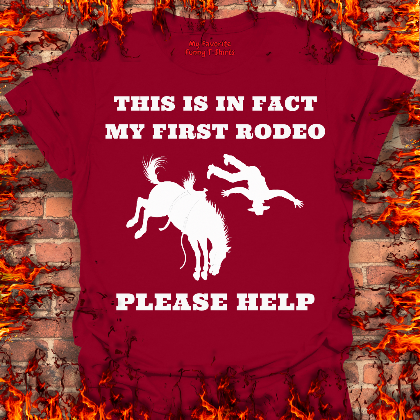This Is In Fact My First Rodeo