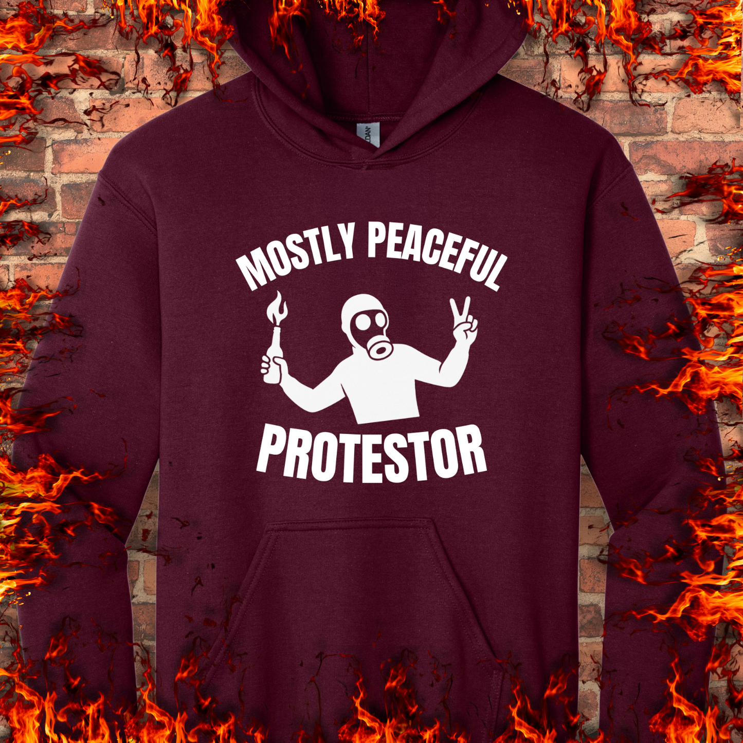 Mostly Peaceful Protestor