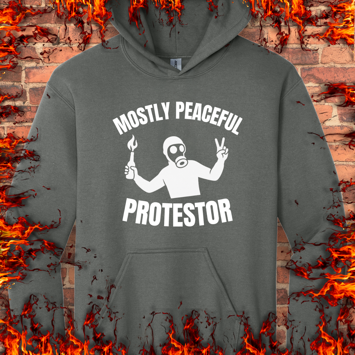 Mostly Peaceful Protestor