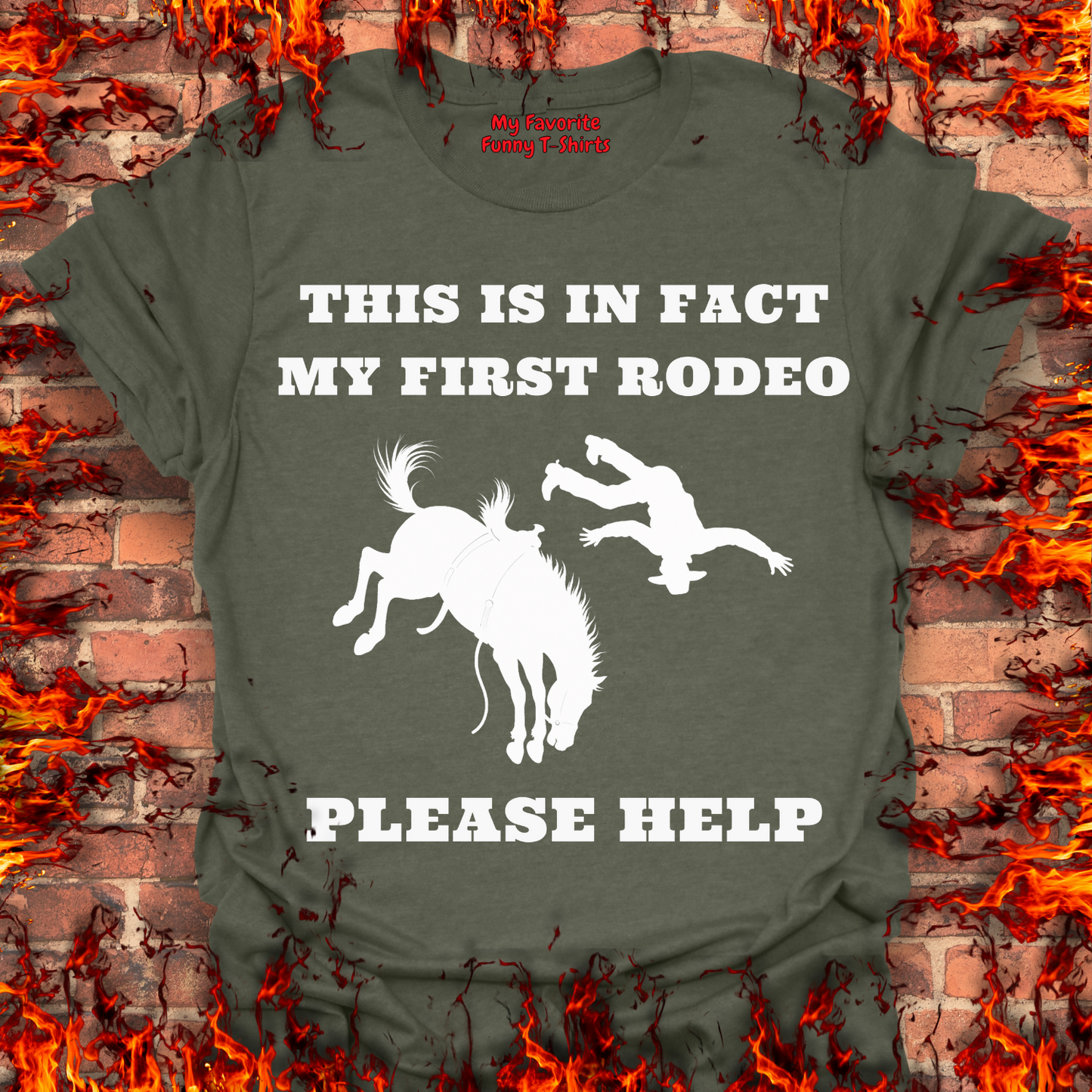 This Is In Fact My First Rodeo