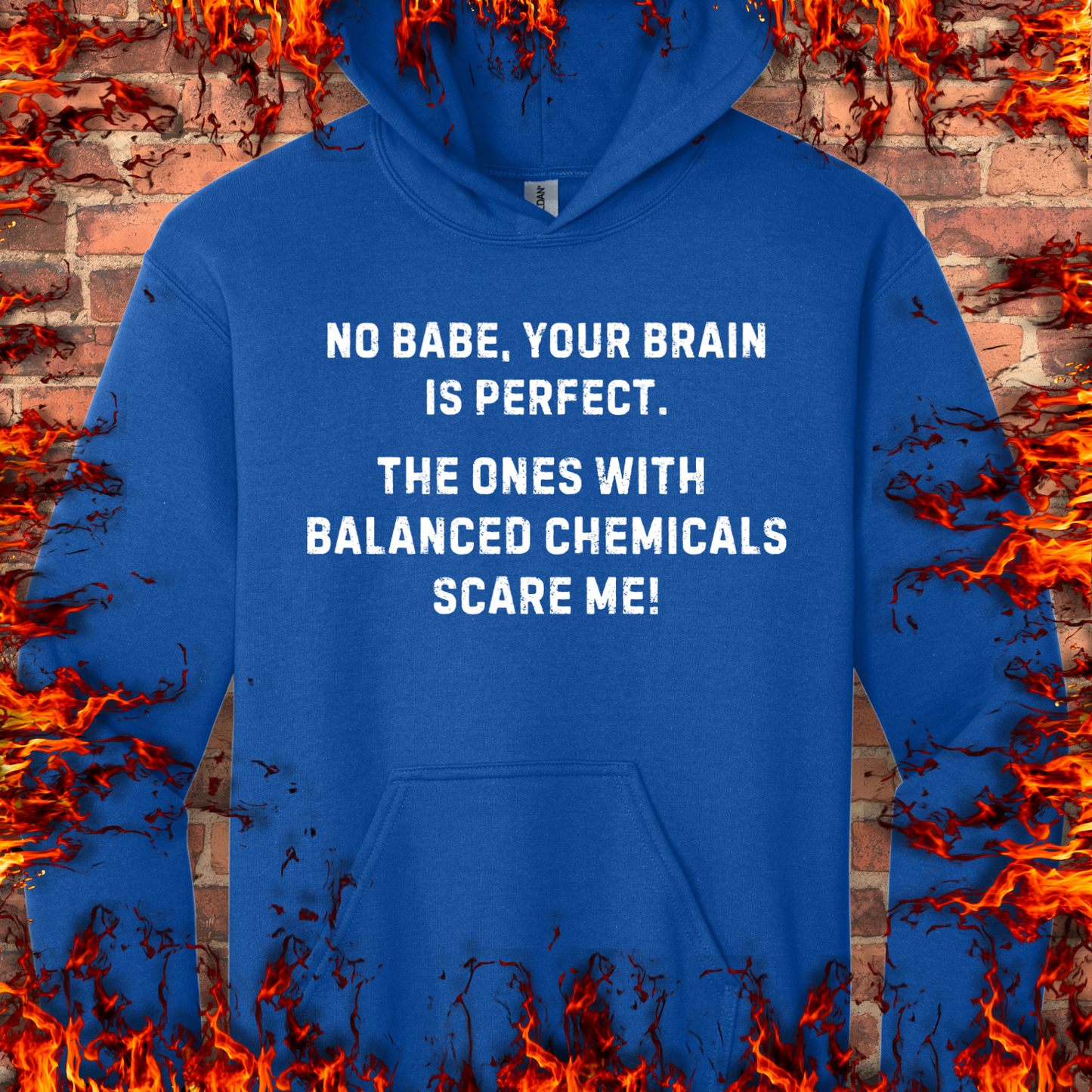 Your Brain Is Perfect
