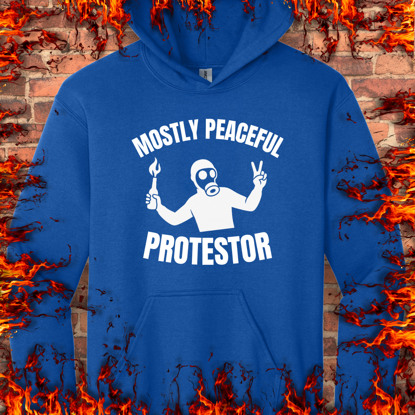 Mostly Peaceful Protestor