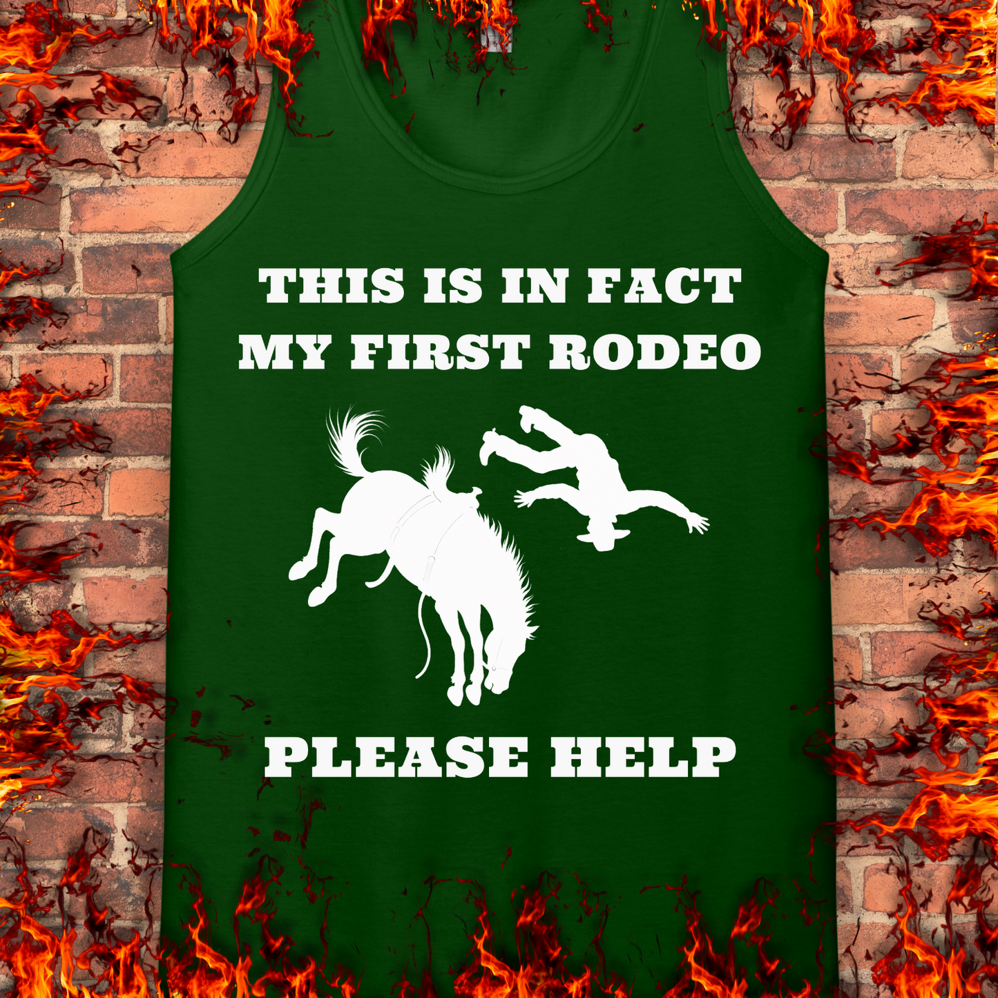 This Is In Fact My First Rodeo