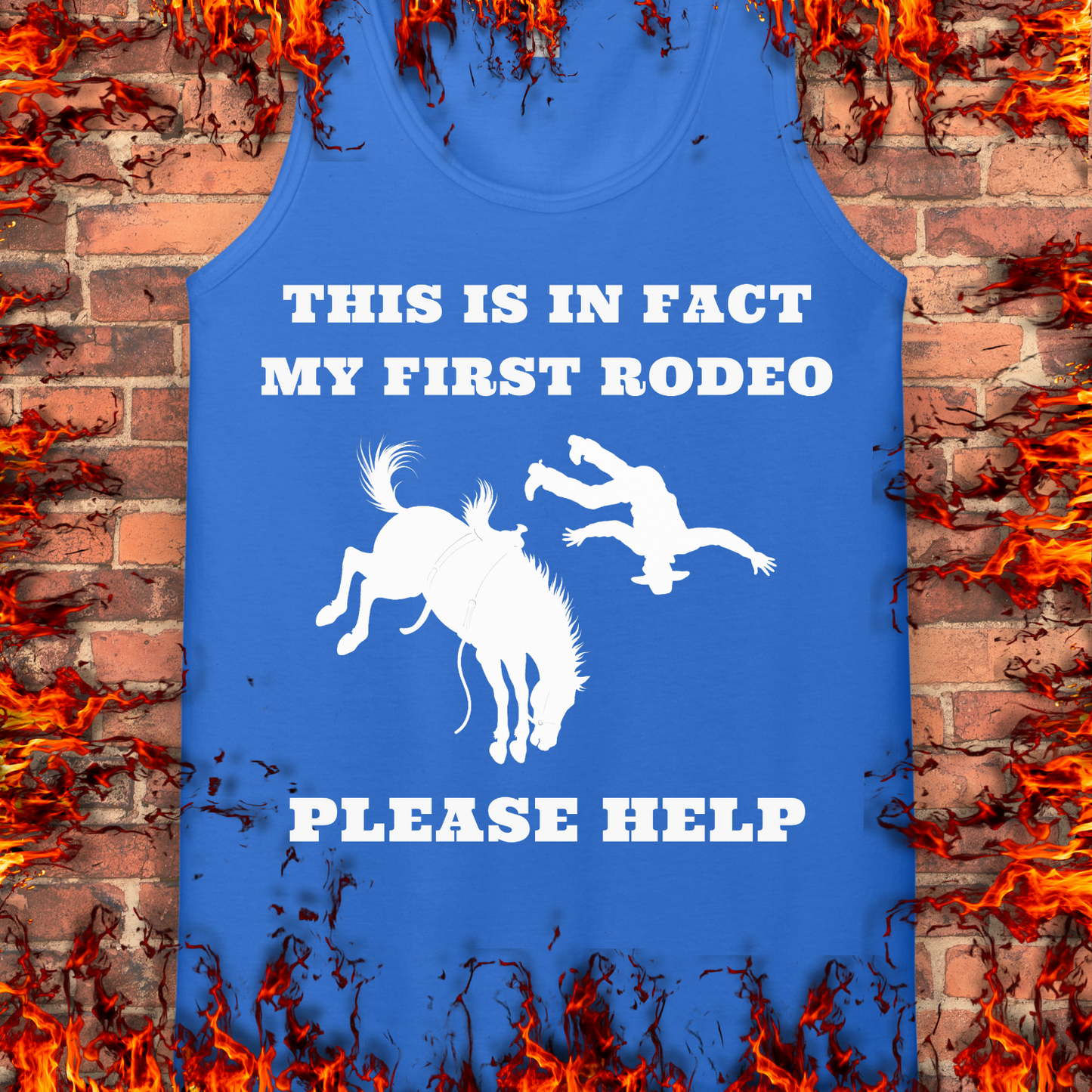 This Is In Fact My First Rodeo