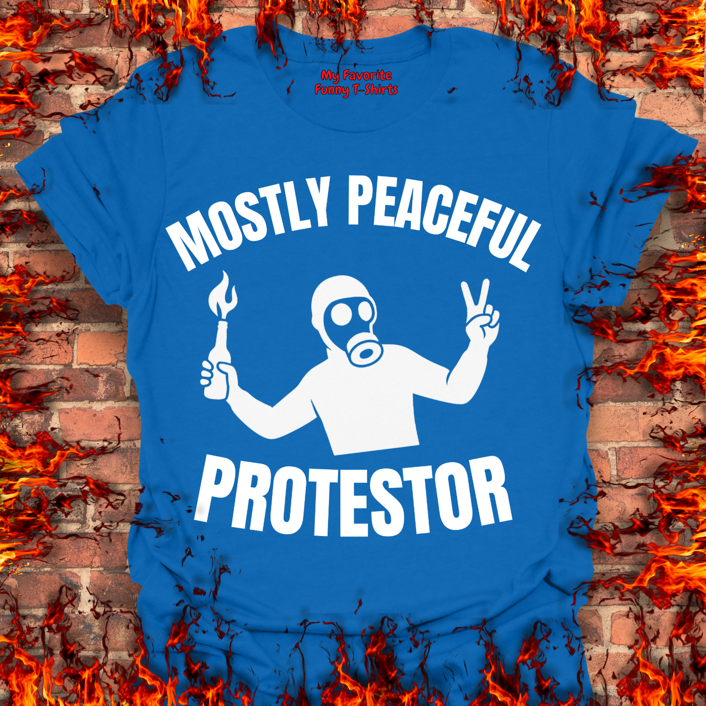 Mostly Peaceful Protestor