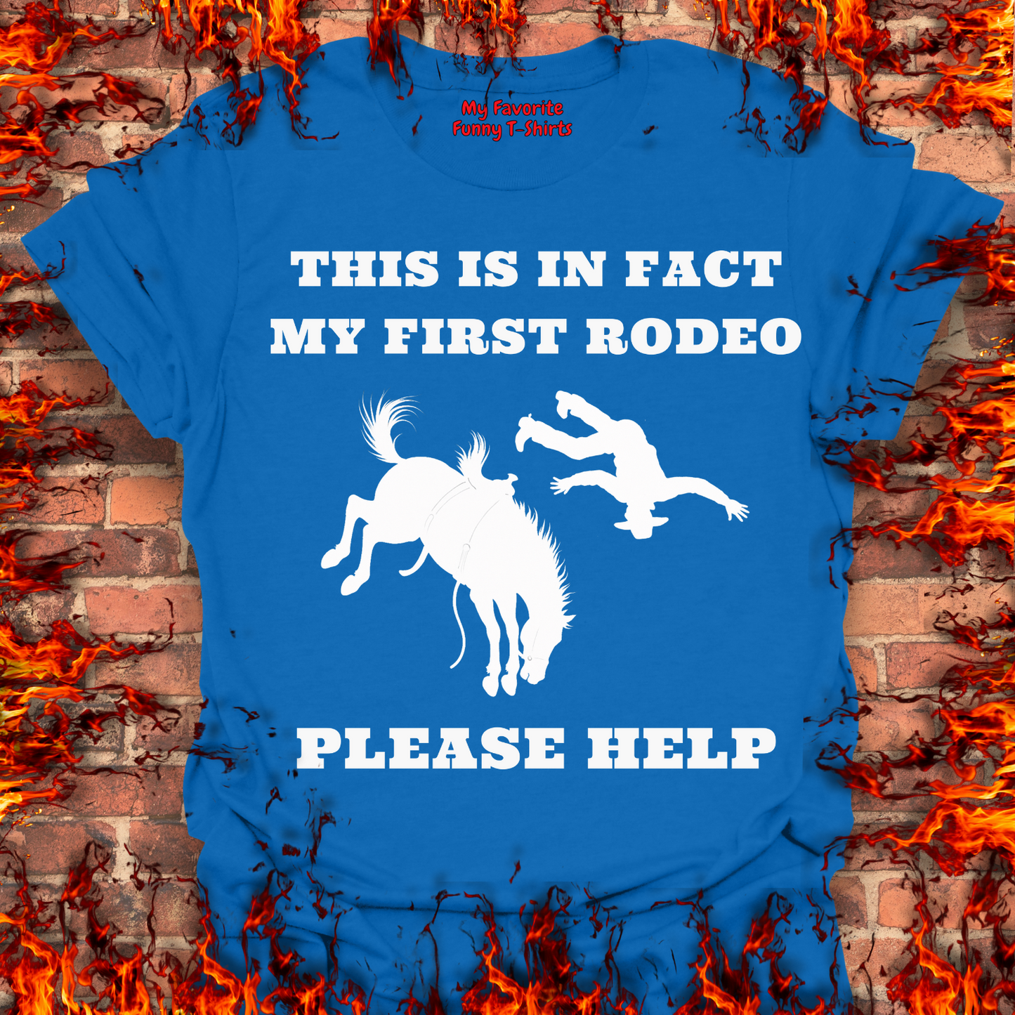 This Is In Fact My First Rodeo