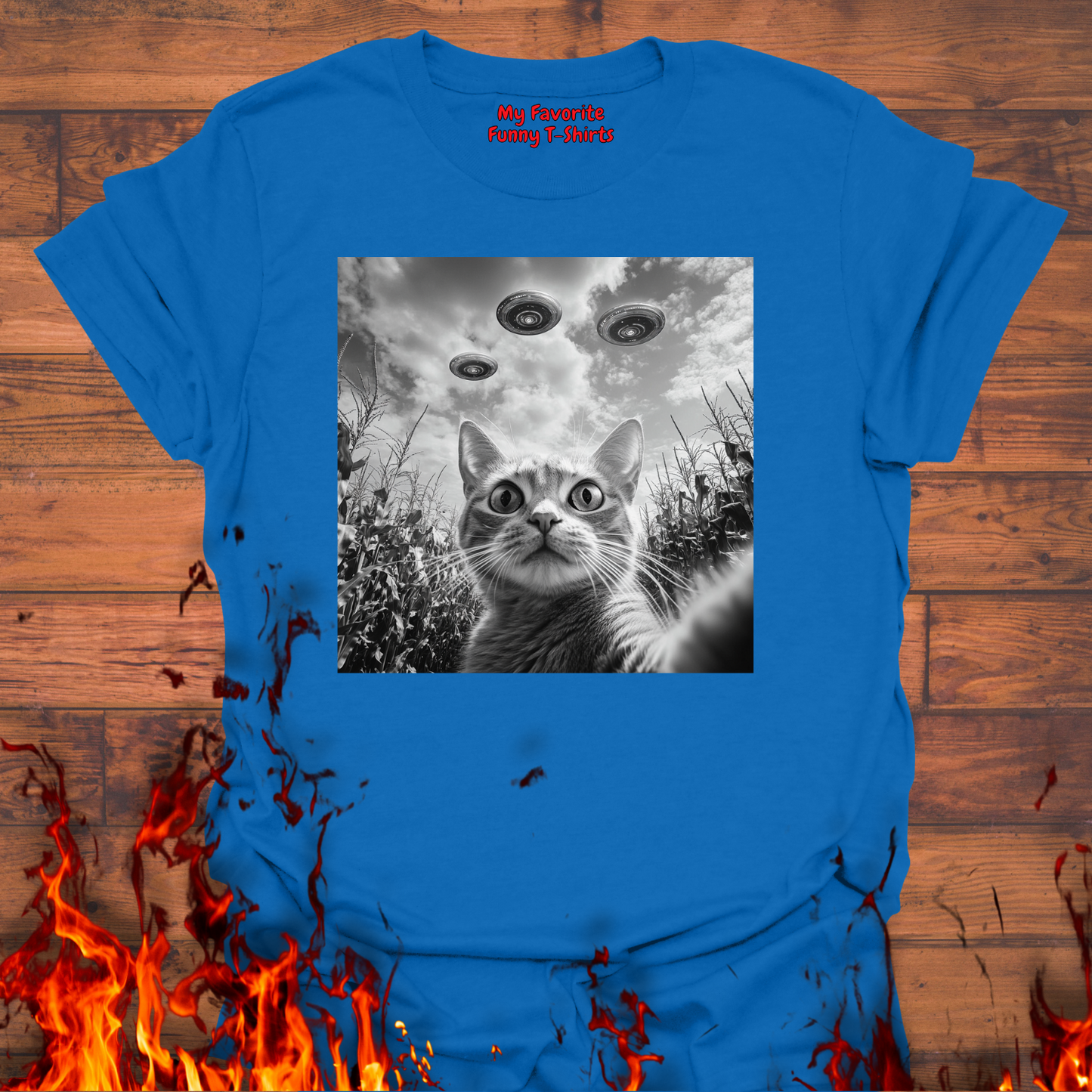 Cat Taking Selfie In Cornfield