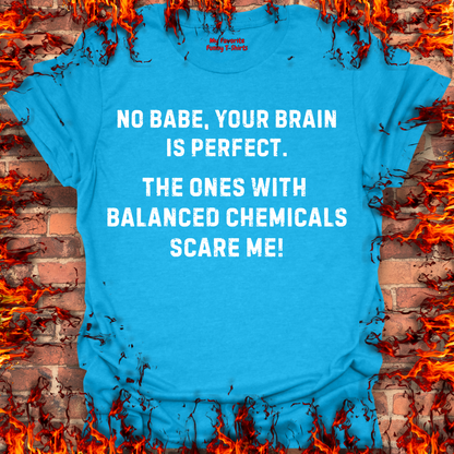 Your Brain Is Perfect
