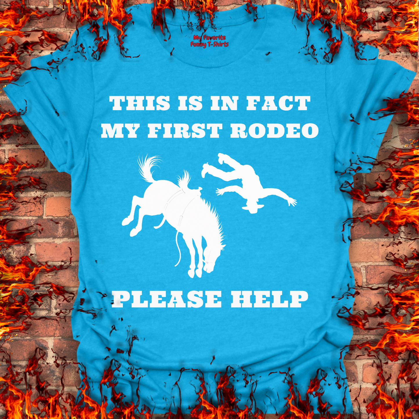 This Is In Fact My First Rodeo