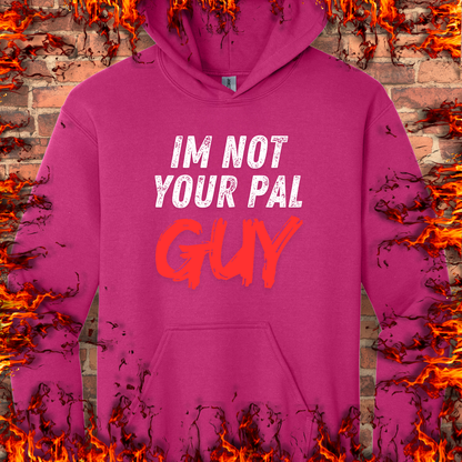Not Your Pal...Guy