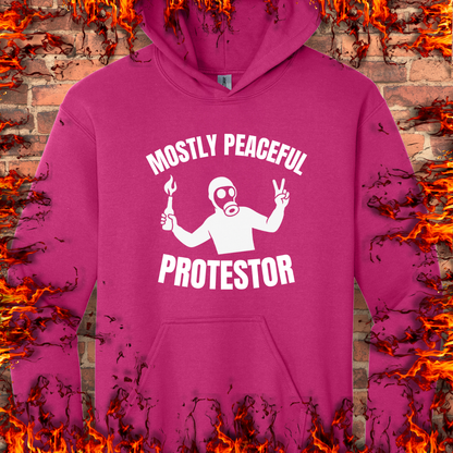 Mostly Peaceful Protestor