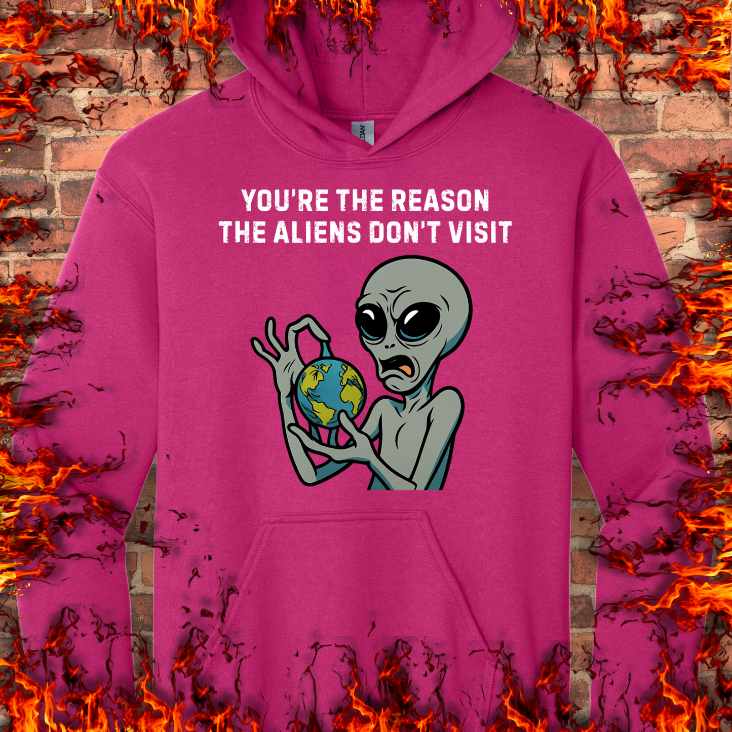 Reason Aliens Don't Visit