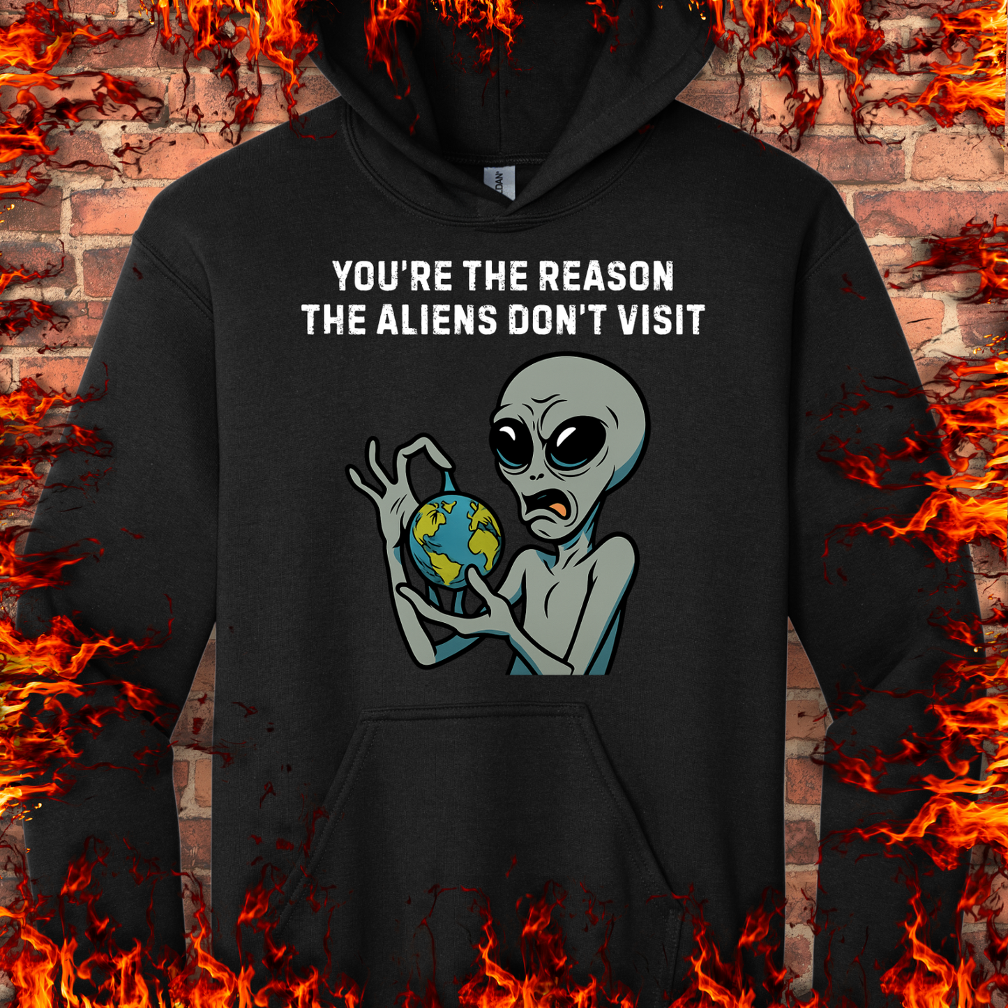 Reason Aliens Don't Visit