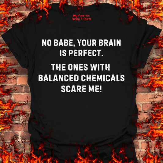 Your Brain Is Perfect