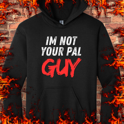 Not Your Pal...Guy