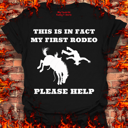 This Is In Fact My First Rodeo
