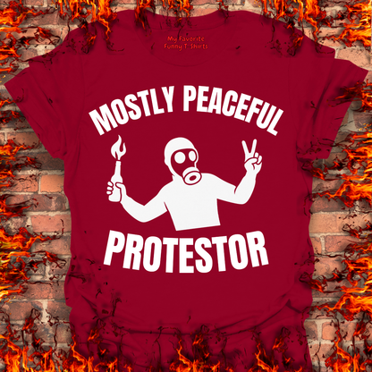Mostly Peaceful Protestor