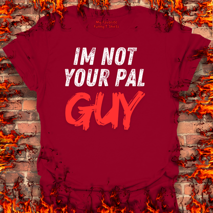 Not Your Pal...Guy
