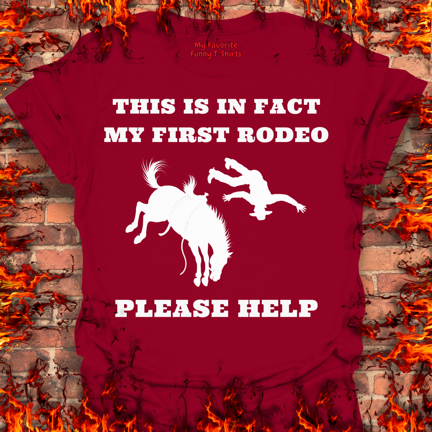 This Is In Fact My First Rodeo