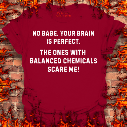 Your Brain Is Perfect