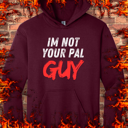 Not Your Pal...Guy