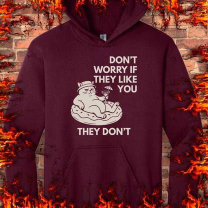 Don't Worry If They Like You