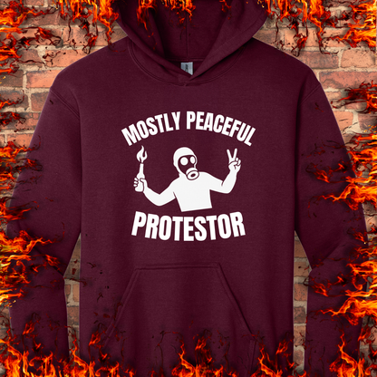 Mostly Peaceful Protestor