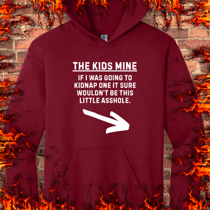 The Kid's Mine
