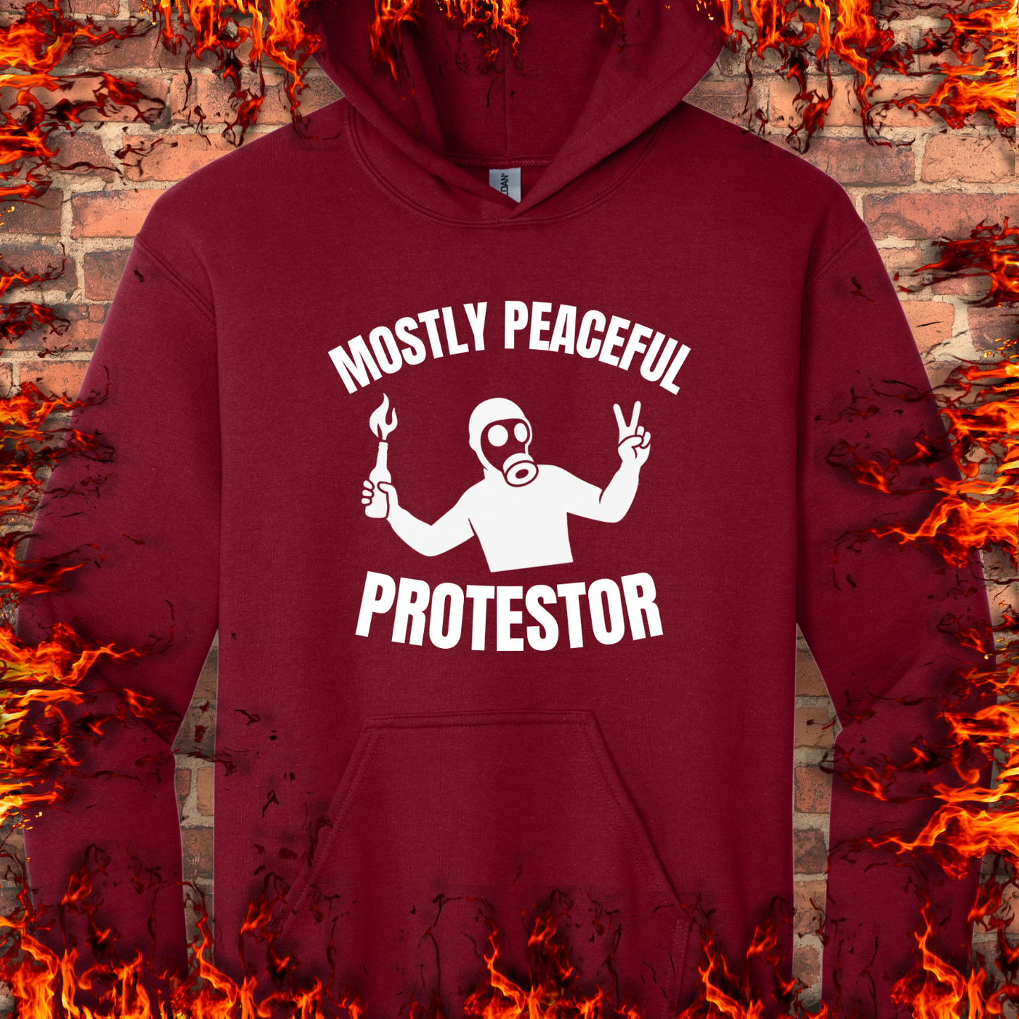 Mostly Peaceful Protestor