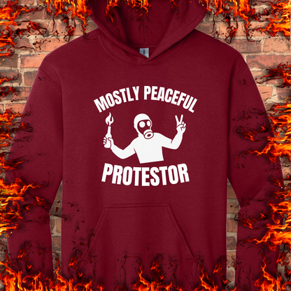 Mostly Peaceful Protestor