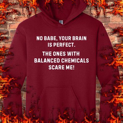 Your Brain Is Perfect