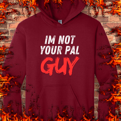 Not Your Pal...Guy