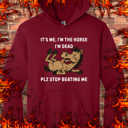 Plz Stop Beating Me