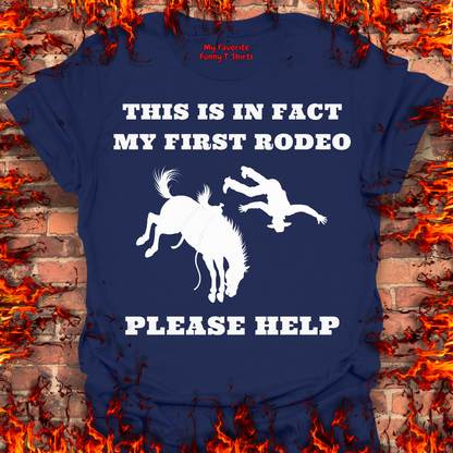 This Is In Fact My First Rodeo