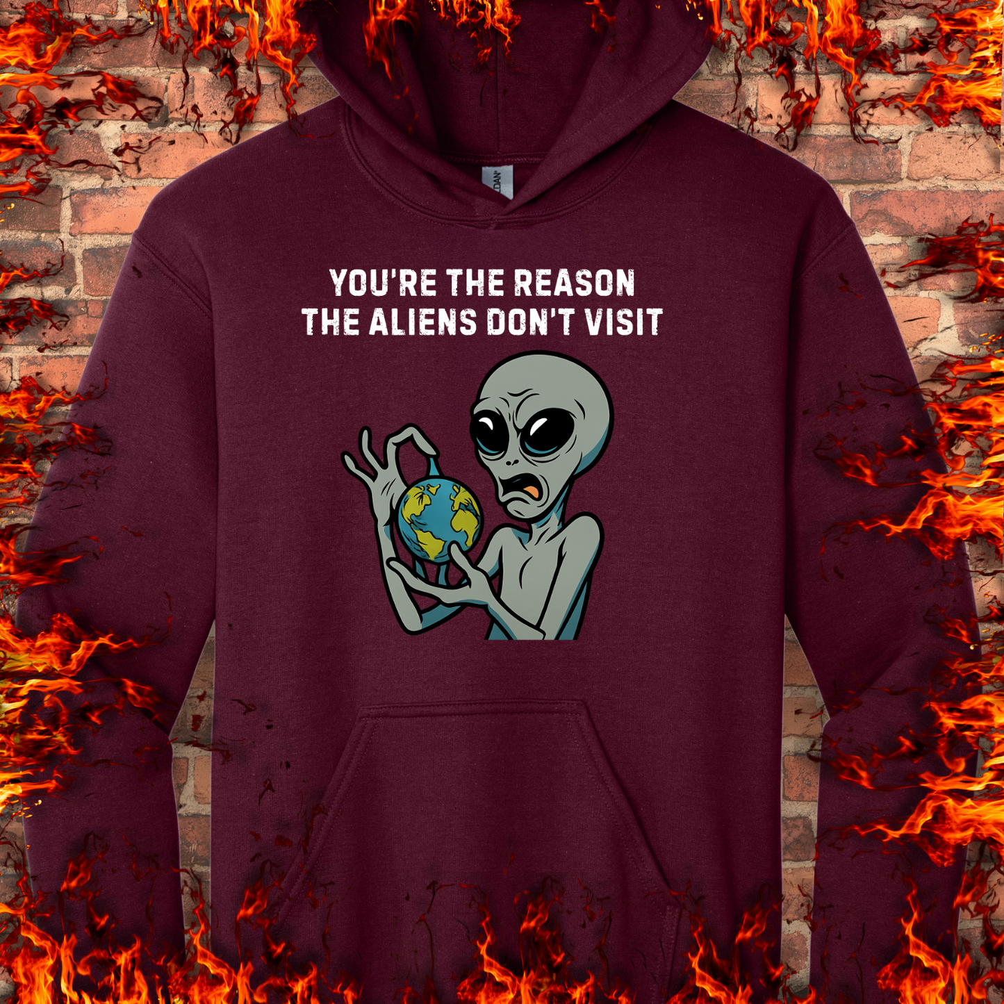 Reason Aliens Don't Visit