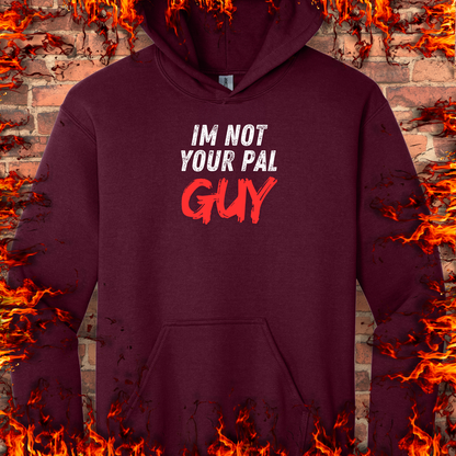Not Your Pal...Guy