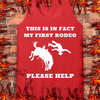 This Is In Fact My First Rodeo