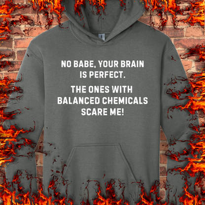 Your Brain Is Perfect