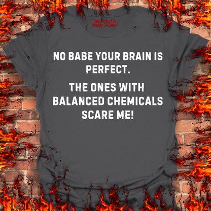 Your Brain Is Perfect