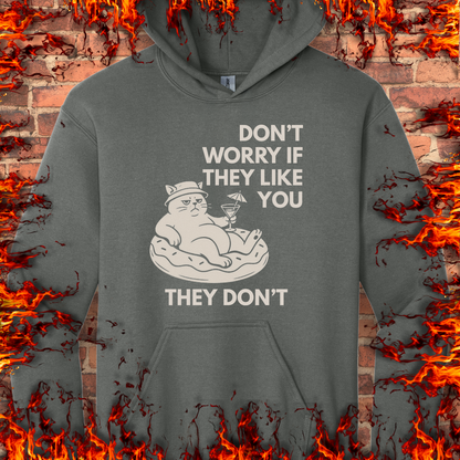 Don't Worry If They Like You