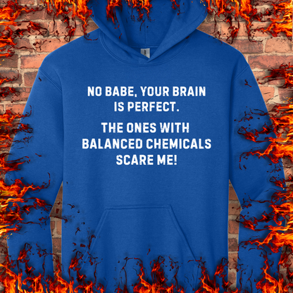 Your Brain Is Perfect