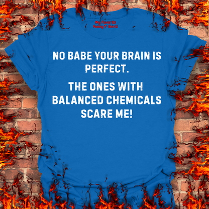 Your Brain Is Perfect