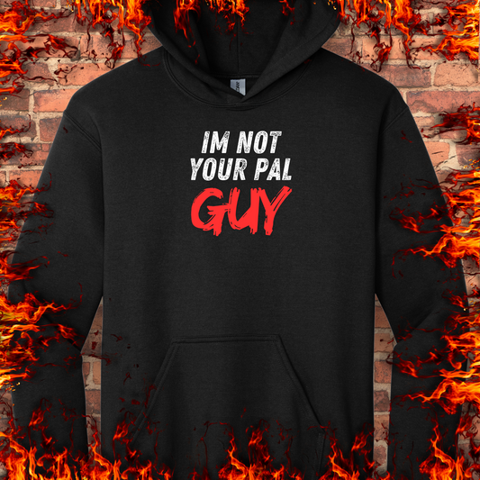 Not Your Pal...Guy