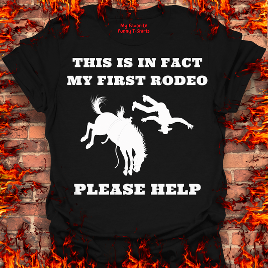 This Is In Fact My First Rodeo