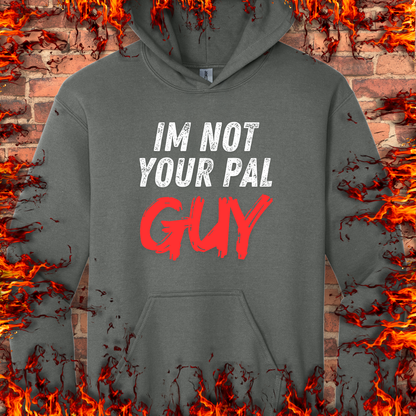 Not Your Pal...Guy
