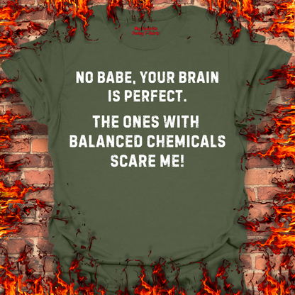 Your Brain Is Perfect