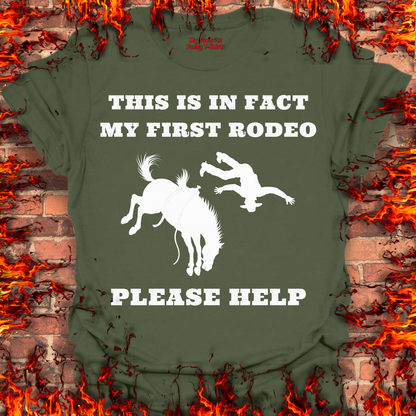 This Is In Fact My First Rodeo
