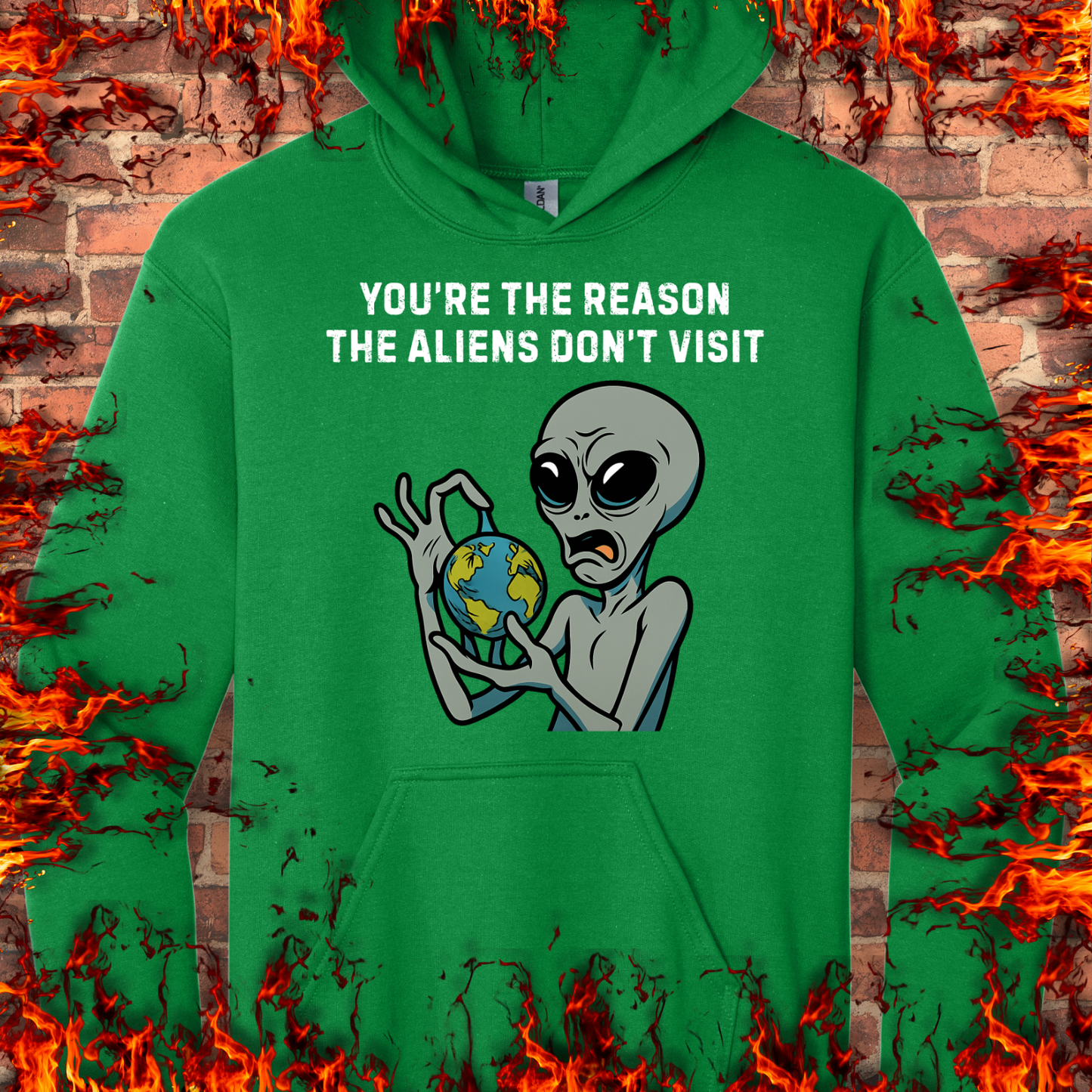 Reason Aliens Don't Visit